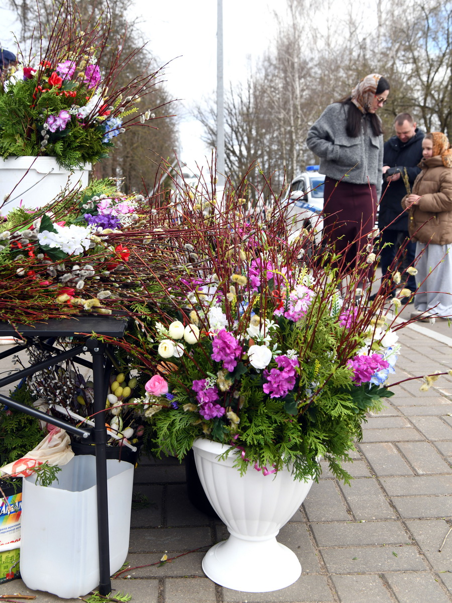 DSC_9474_новый размер