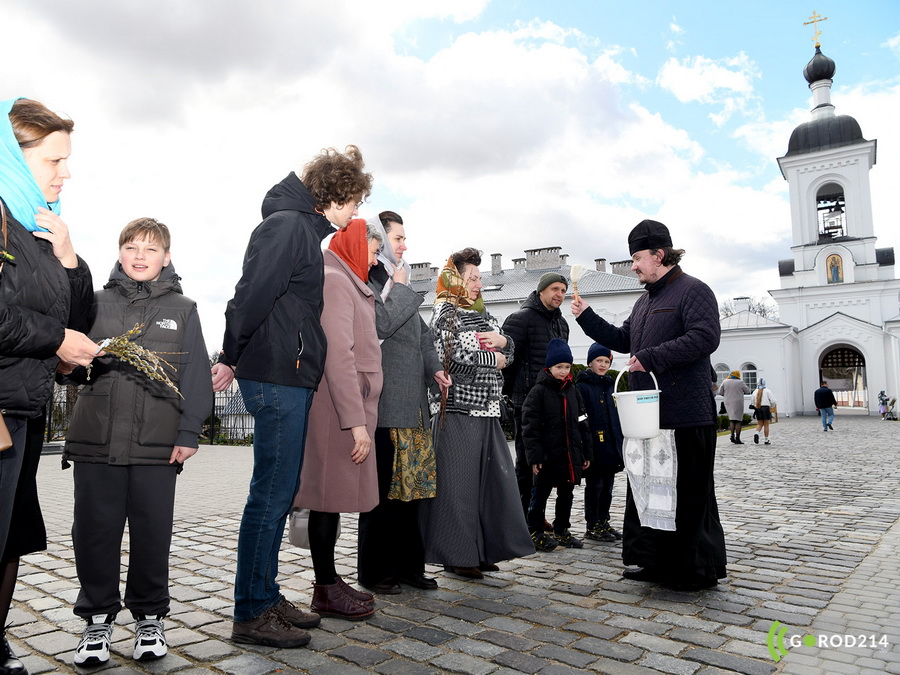 DSC_9490_новый размер