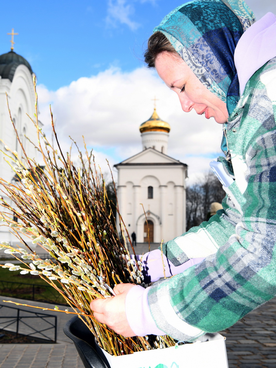 DSC_9500_новый размер