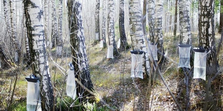 P96myMTAodUOdPGfxUUP3dm9CmhvCDr0