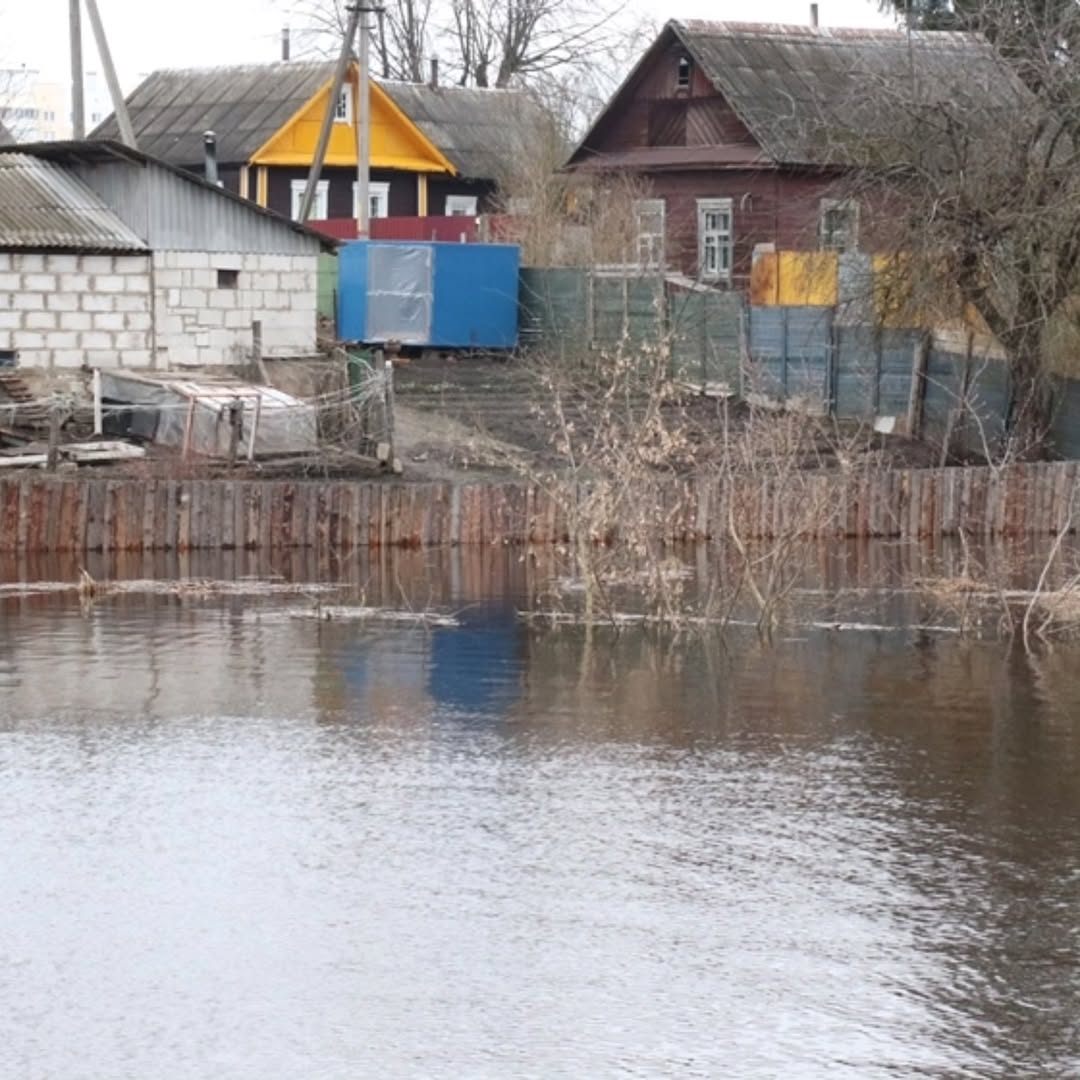 SnapInsta.to_649956132_18105616936876762_7680701928802925233_n