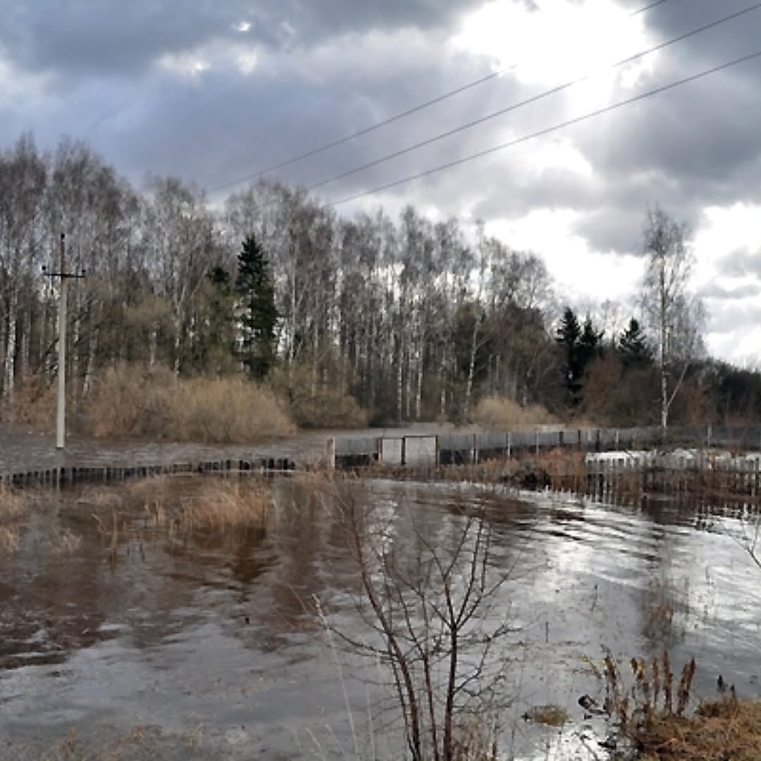 SnapInsta.to_650834107_18105616927876762_7626001545267804774_n