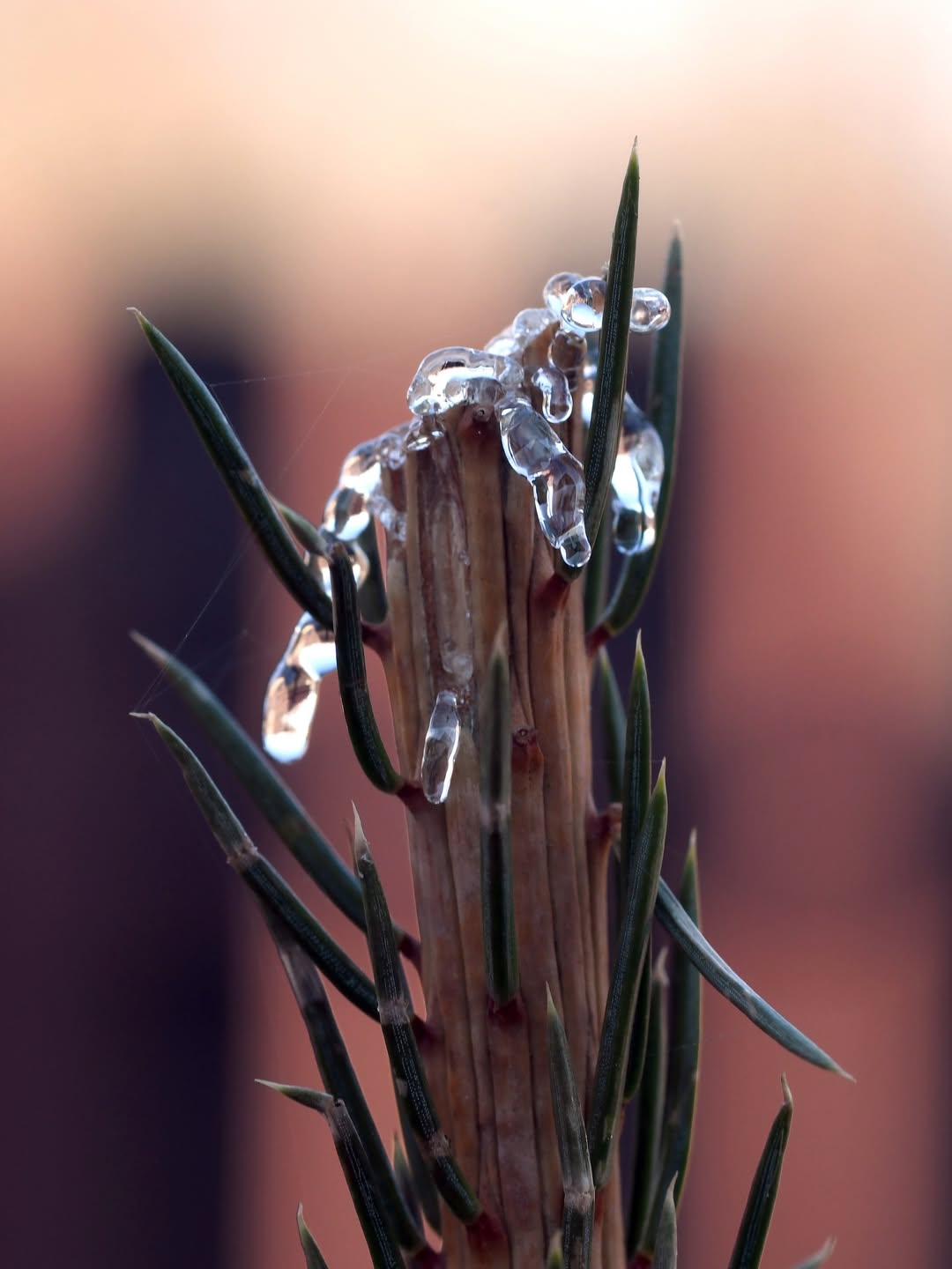 SnapInsta.to_654693809_18425988748189713_429797106828969808_n