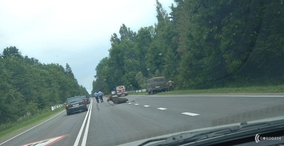 photo_2021-07-06_13-11-06