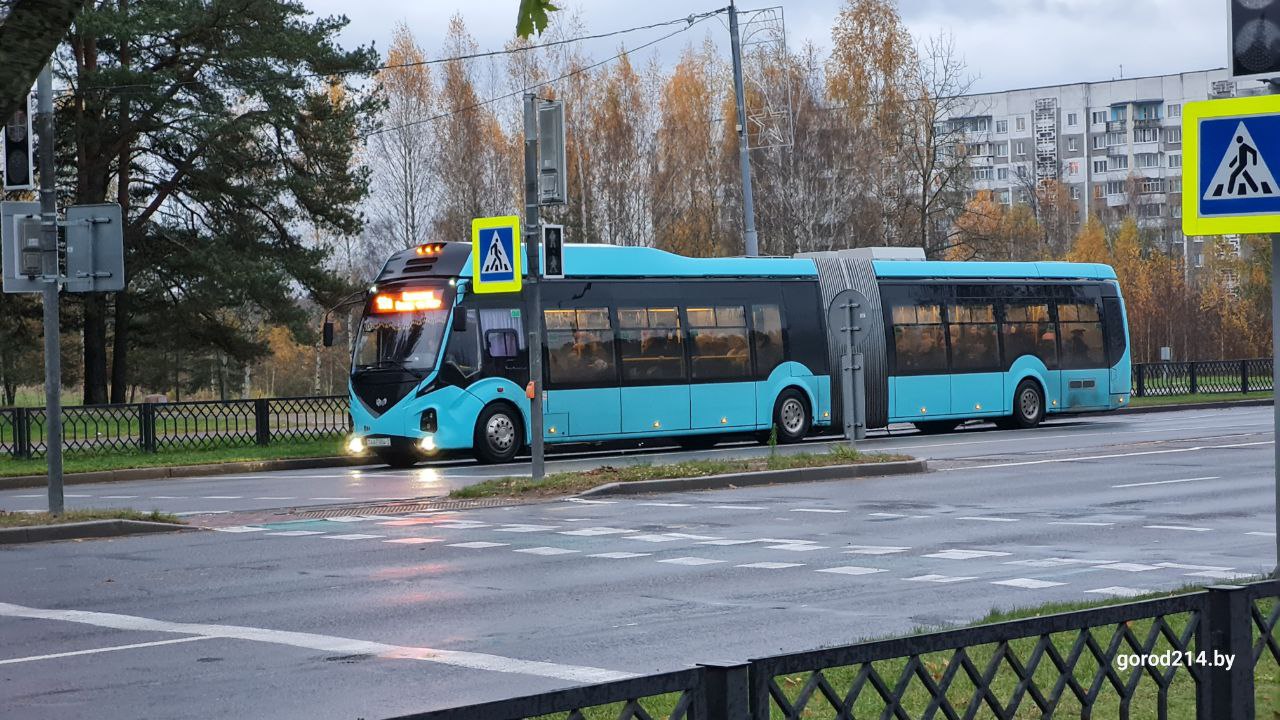 photo_2025-11-06_10-17-03