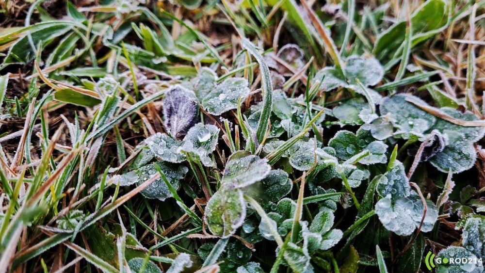 photo_2025-11-24_13-58-22