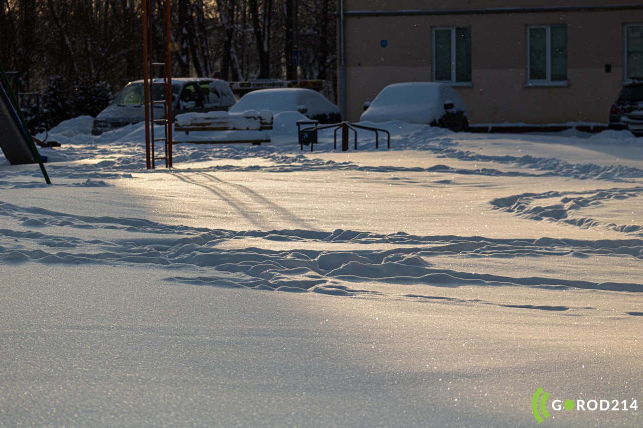 photo_2026-02-19_12-44-33