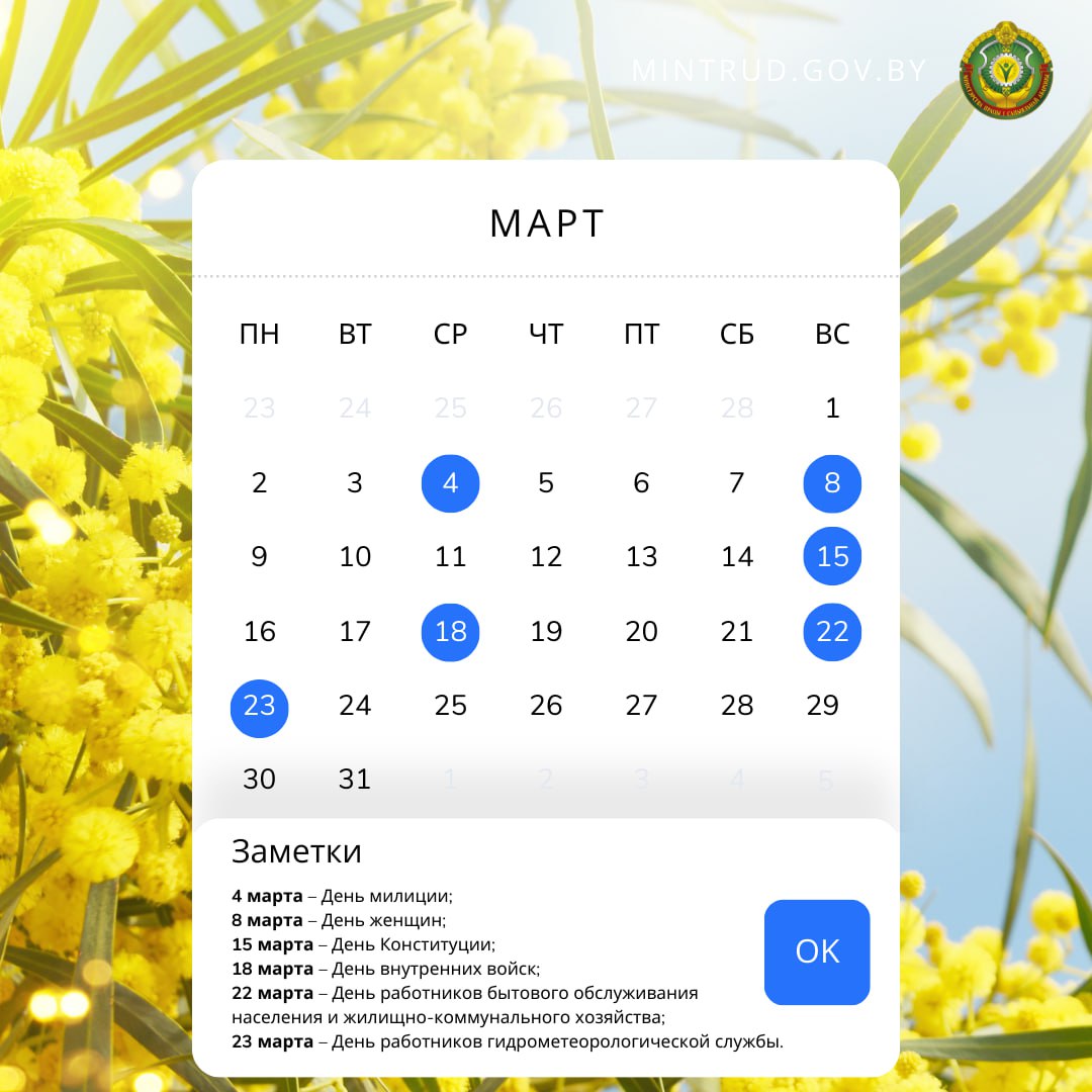 photo_2026-02-25_12-08-39