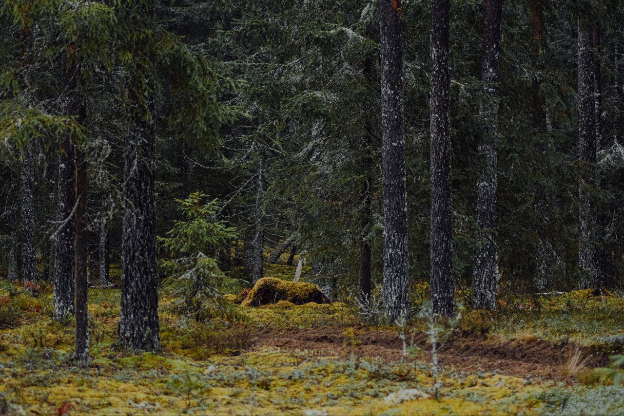 photo_2026-02-27_15-06-43 (3)