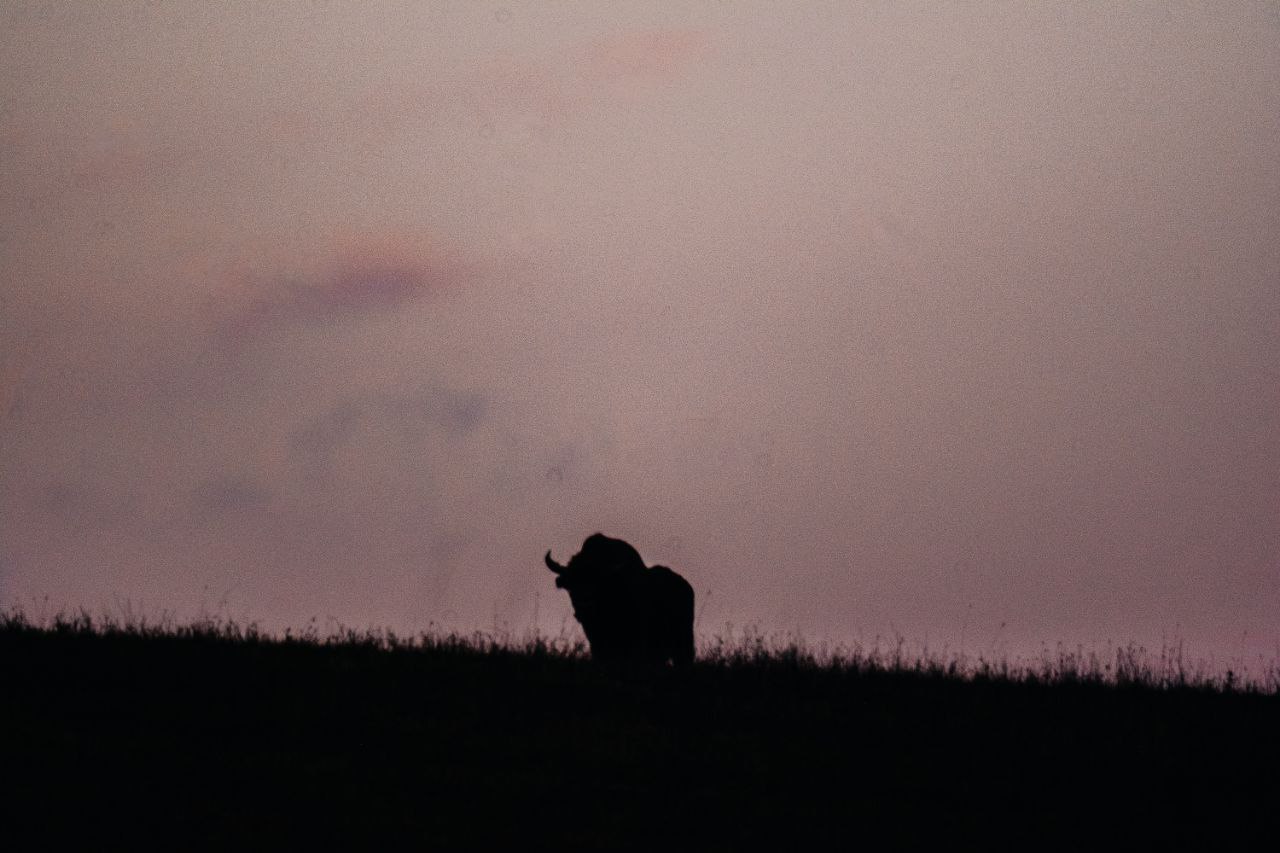 photo_2026-02-27_15-06-43 (4)