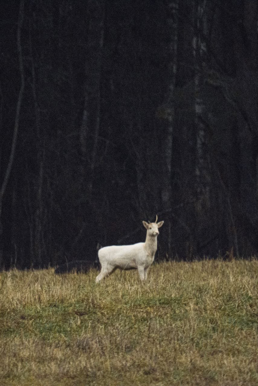 photo_2026-02-27_15-06-43