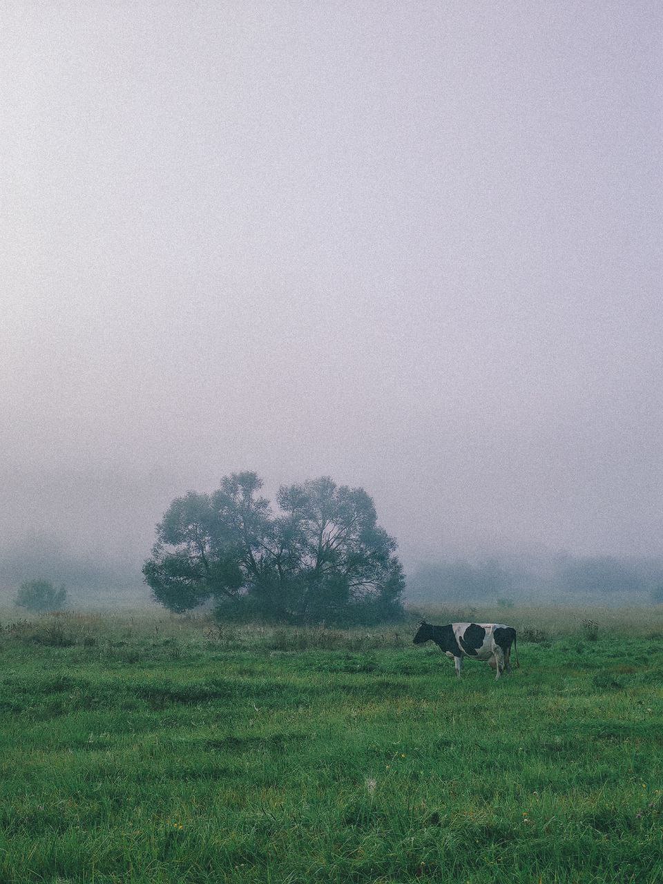 photo_2026-02-27_15-06-44 (2)