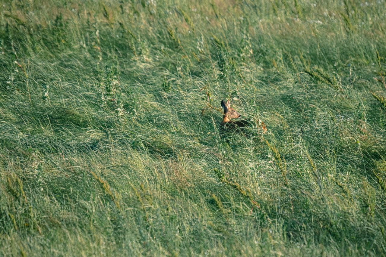 photo_2026-02-27_15-06-44 (4)