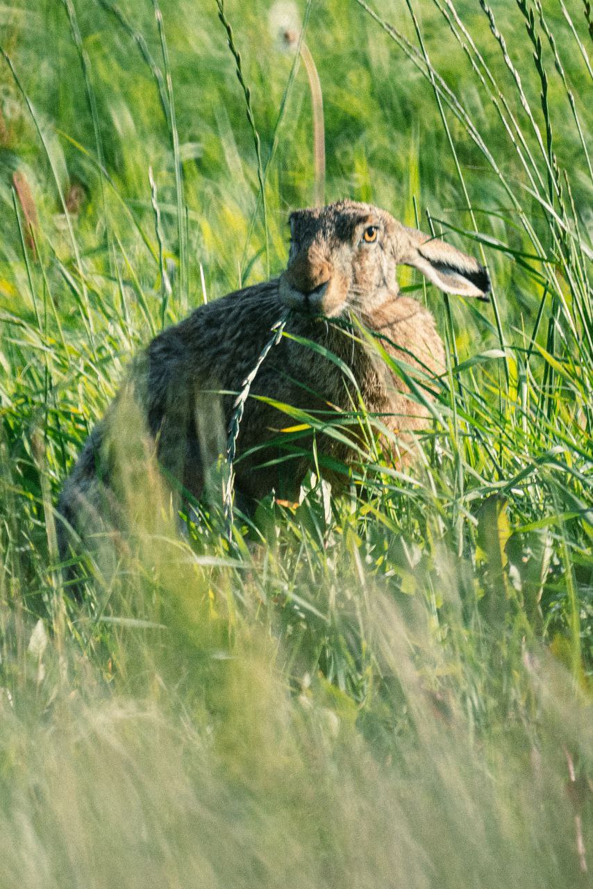 photo_2026-02-27_15-06-44 (5)