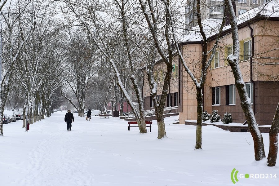 photo_2026-03-01_23-19-08