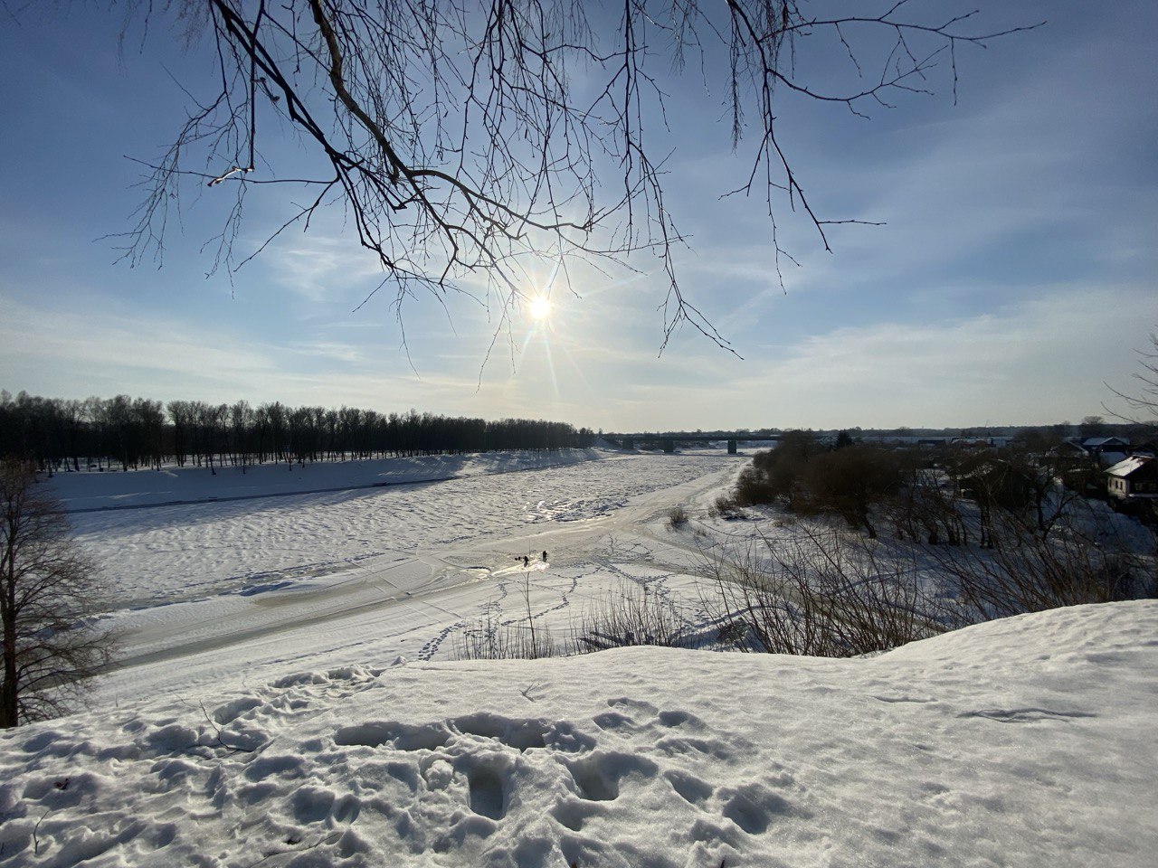 photo_2026-03-02_13-09-33 (3)