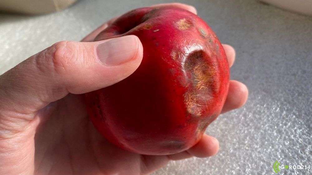 photo_2026-03-06_15-42-21 (2)