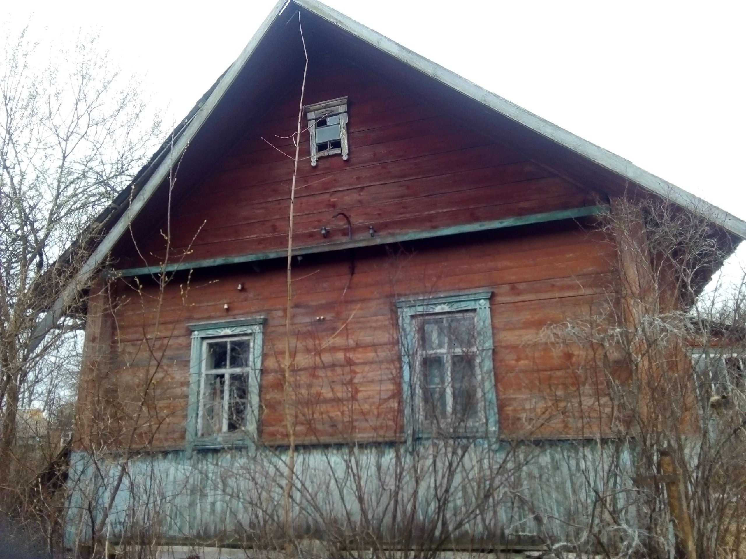 photo_2026-03-12_11-48-16