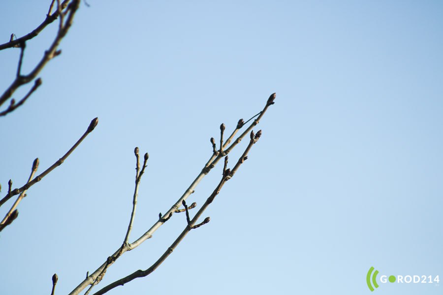 photo_2026-03-16_11-07-33 (2)