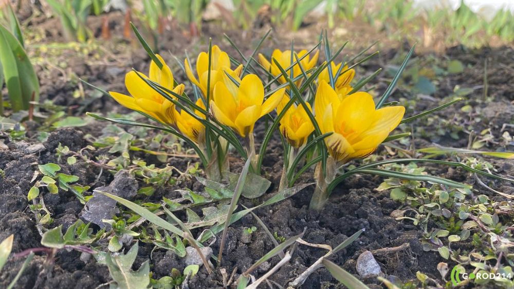 photo_2026-03-23_12-15-37