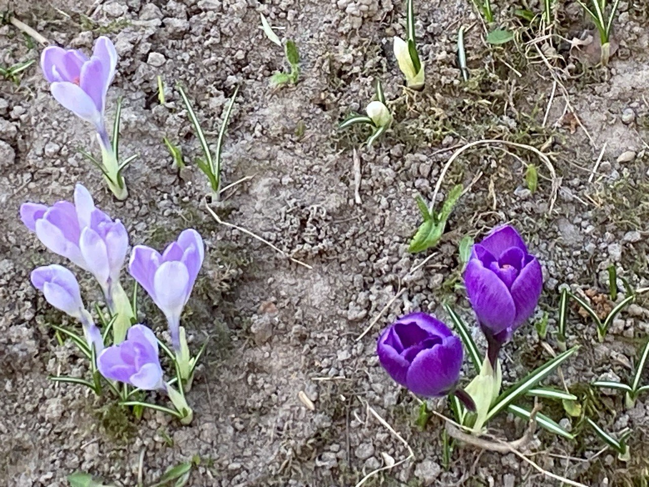 photo_2026-03-23_15-34-29 (5)