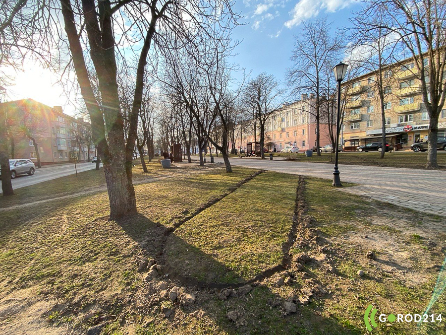 photo_2026-03-29_20-25-20