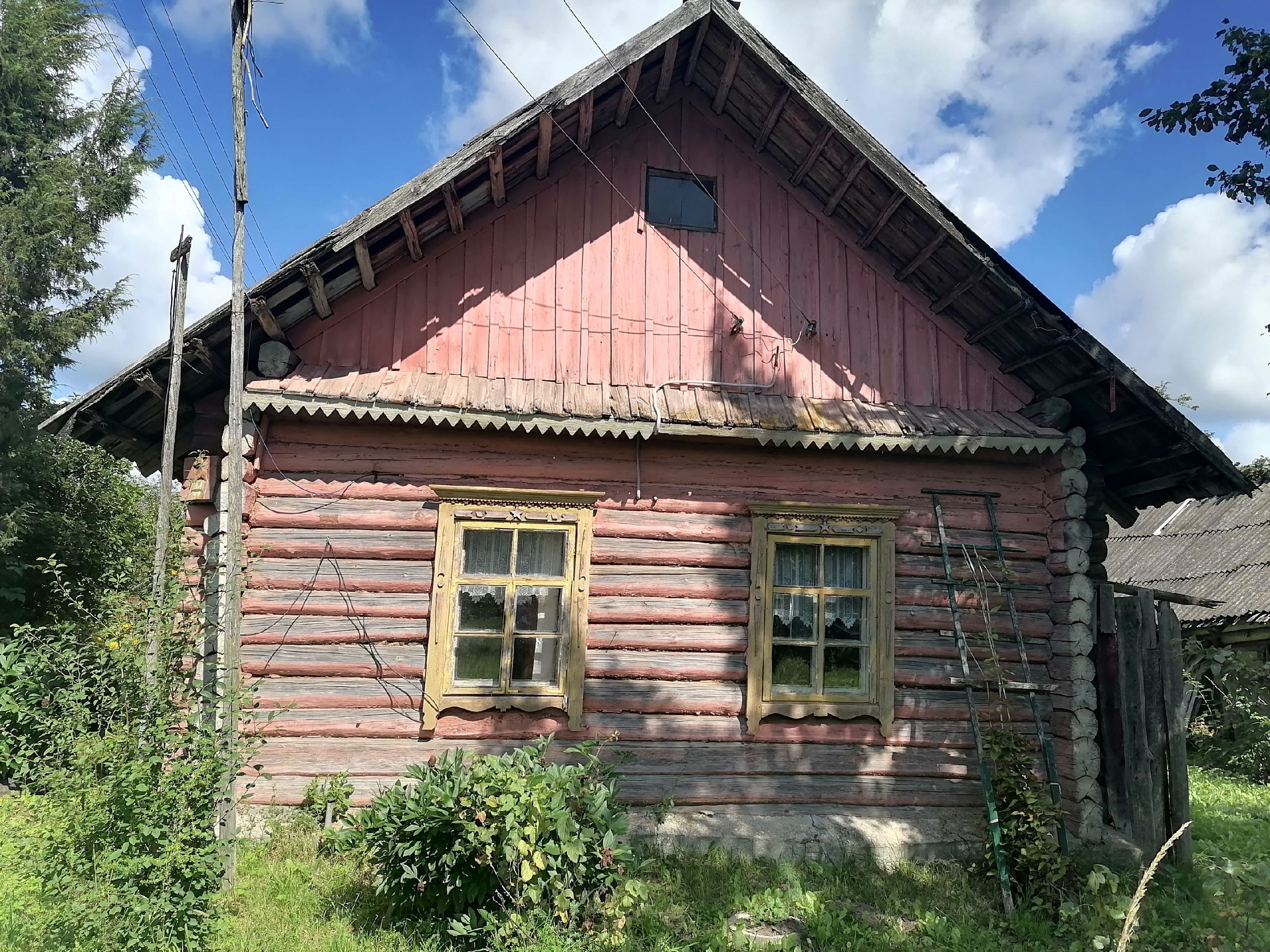 photo_2026-04-14_00-17-52