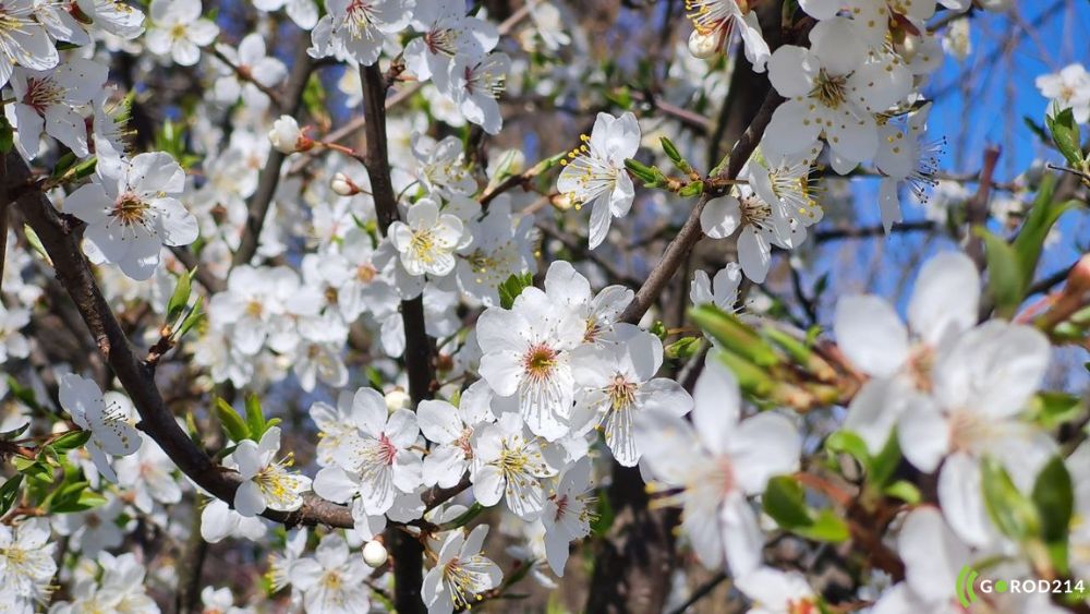 photo_2026-04-22_15-48-39