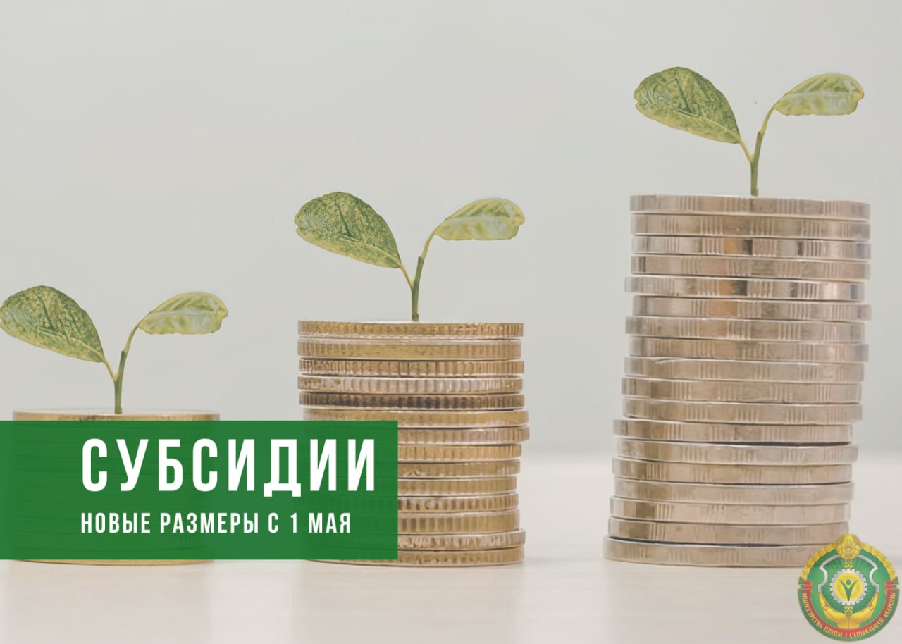 photo_2026-04-23_17-00-56