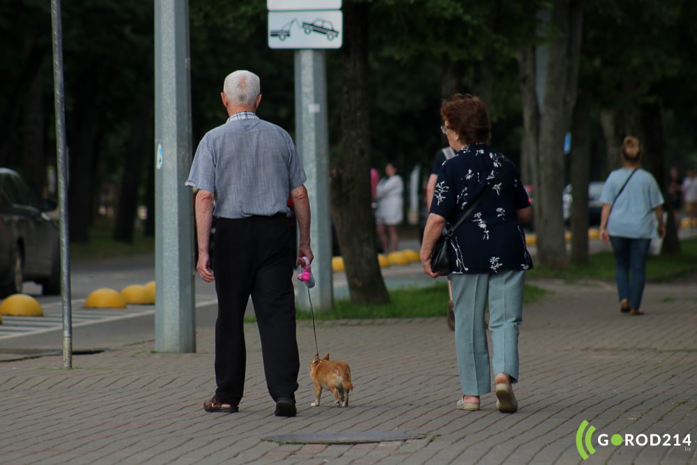 photo_2026-04-29_11-42-42 (2)