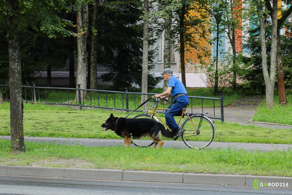 photo_2026-04-29_11-42-43 (2)