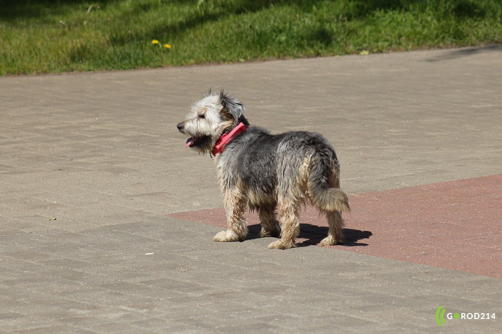 photo_2026-04-29_11-42-44 (2)