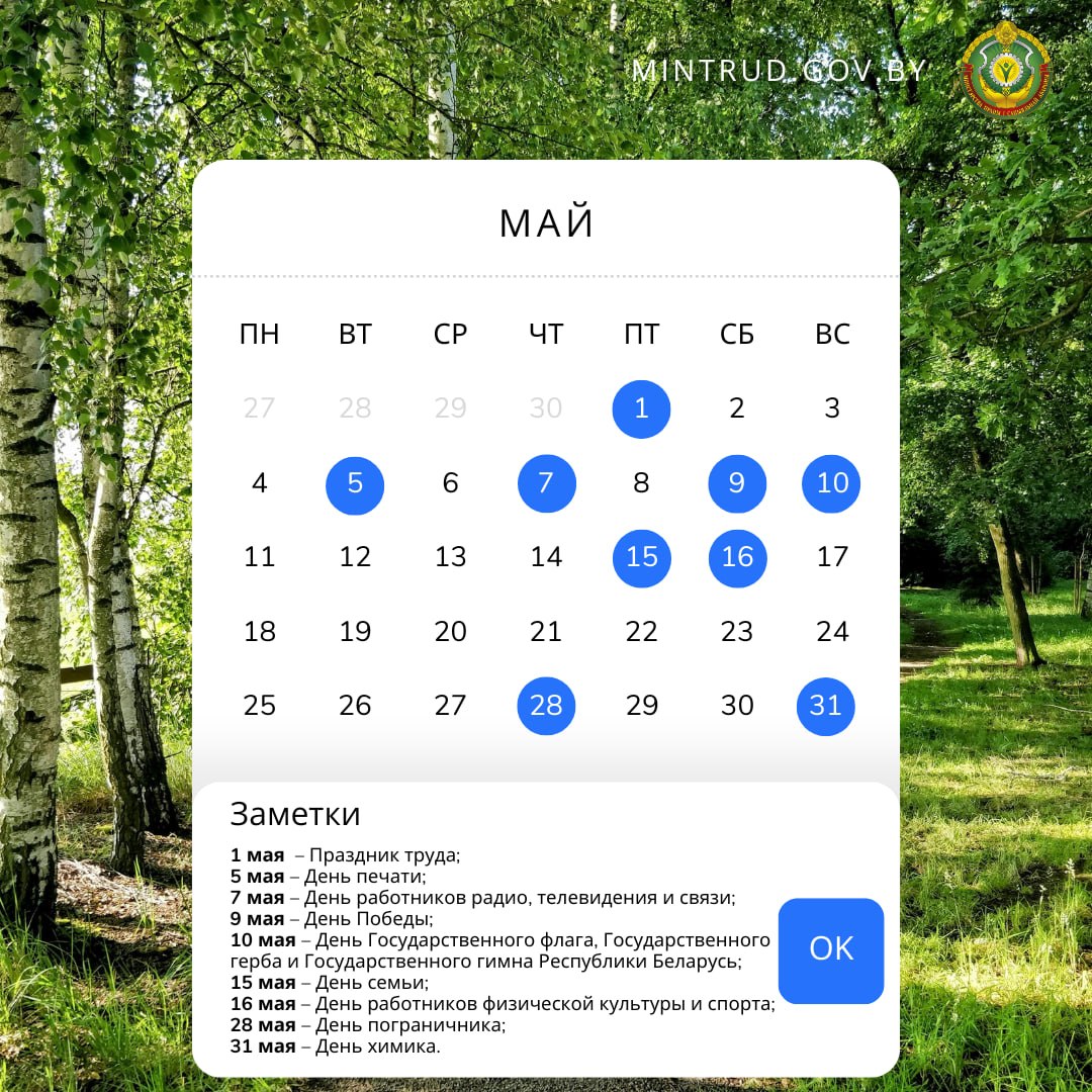 photo_2026-04-29_16-53-01