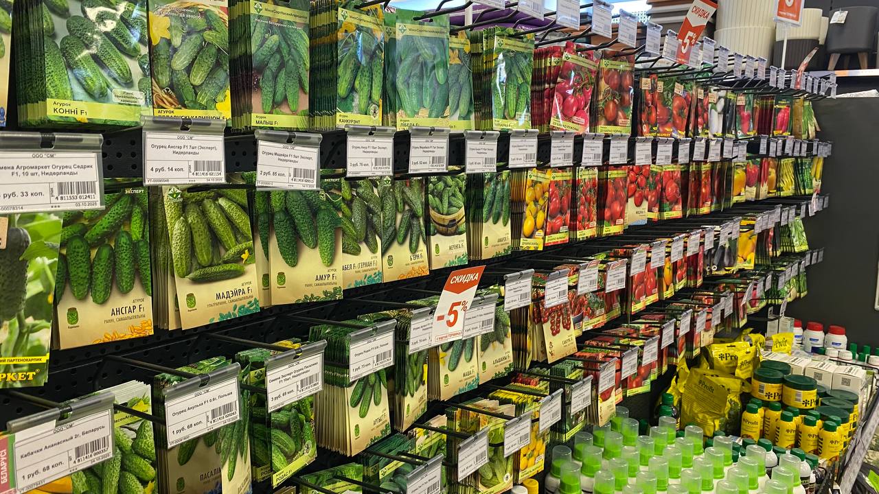 photo_2026-02-03_14-07-33