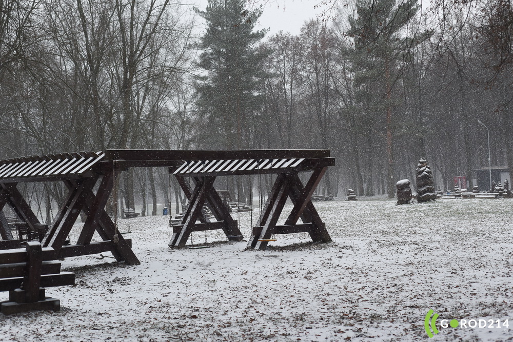 DSC_2832_новый размер