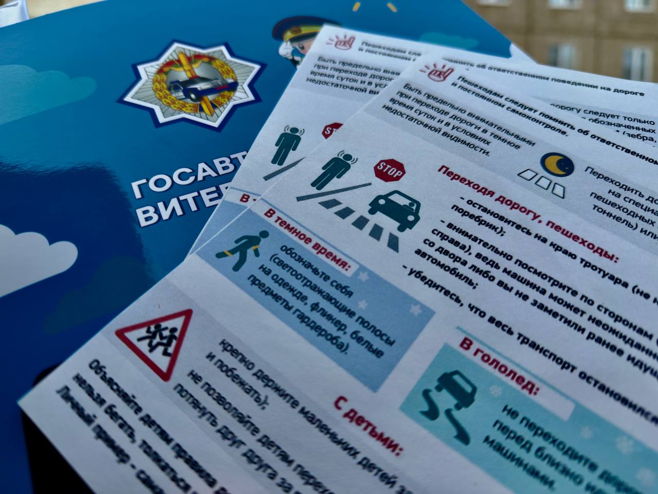 photo_2026-02-19_09-58-00