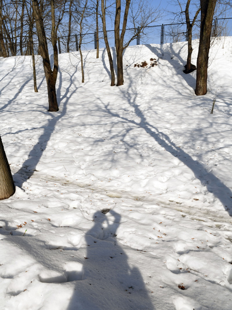 DSC_4537_новый размер