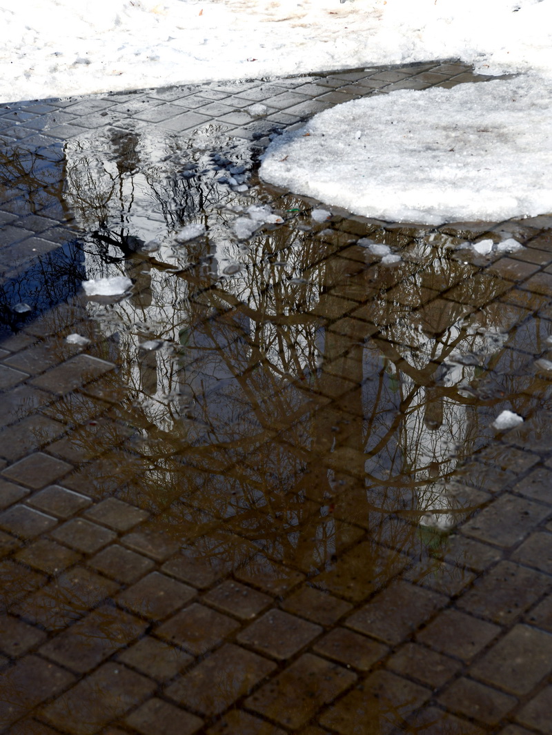 DSC_4545_новый размер