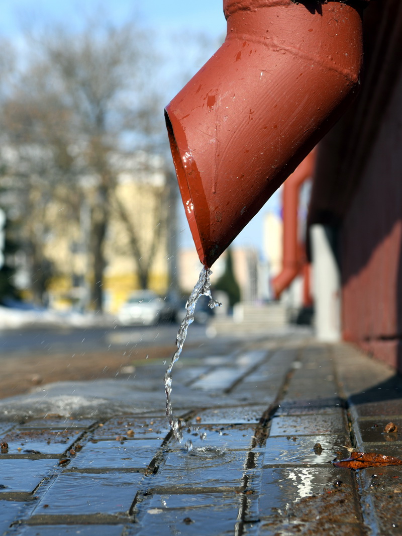 DSC_4575V_новый размер