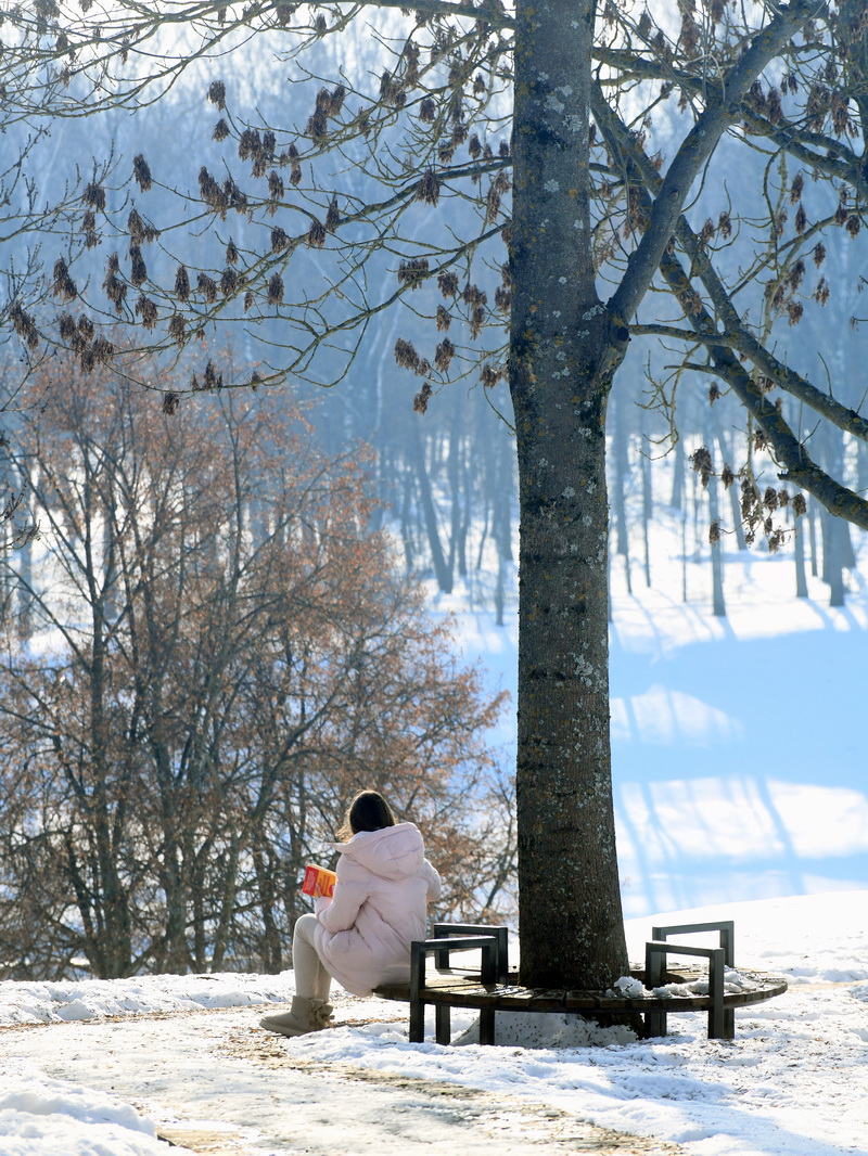 DSC_6727_новый размер