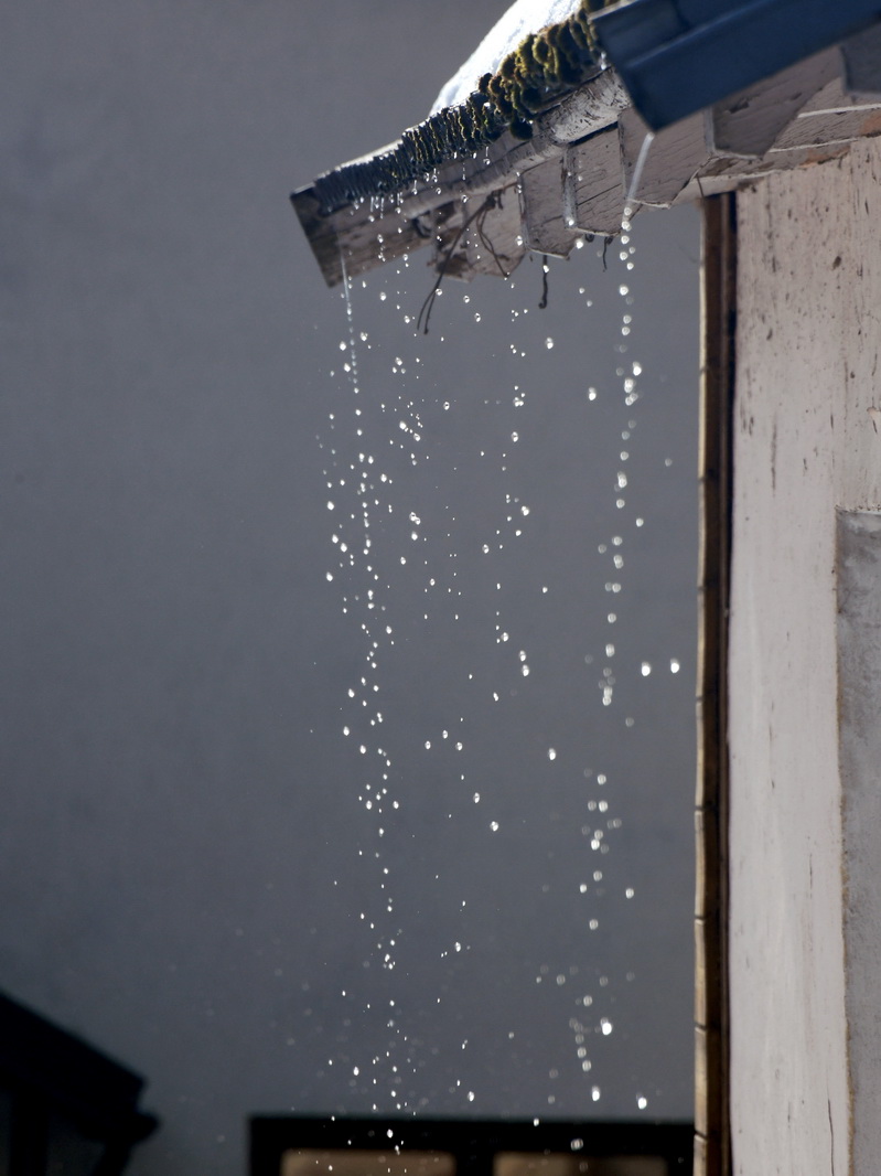 DSC_6788_новый размер