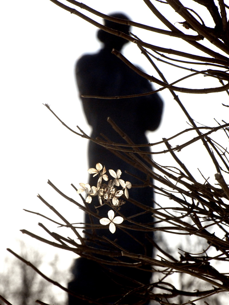 DSC_6843_новый размер