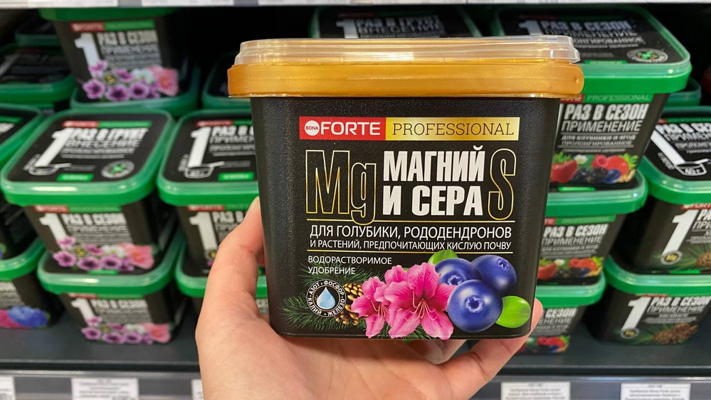 photo_2026-04-13_11-32-15_новый размер