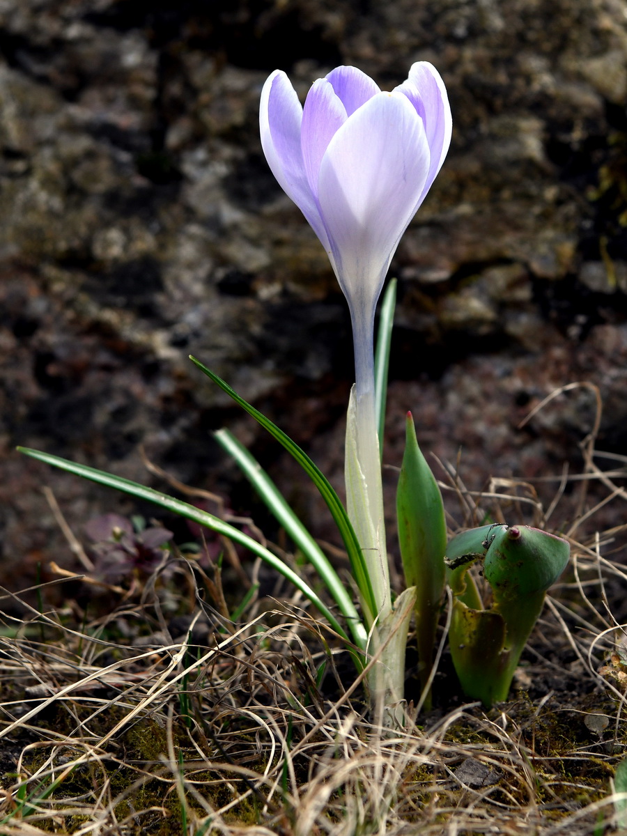 DSC_8204_новый размер