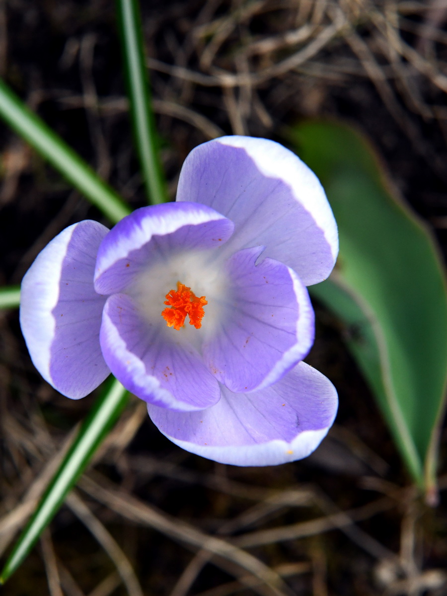 DSC_8206_новый размер