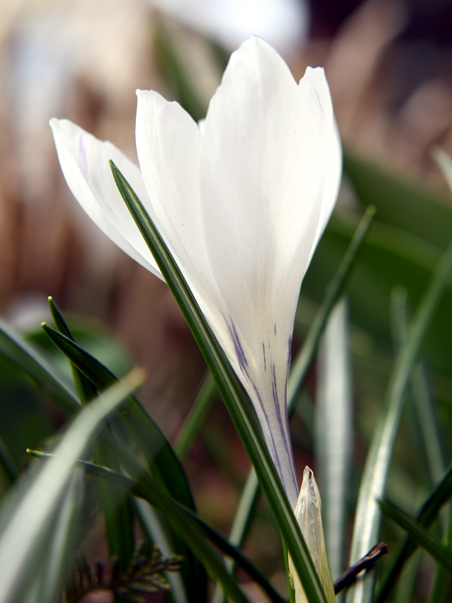 DSC_8225_новый размер