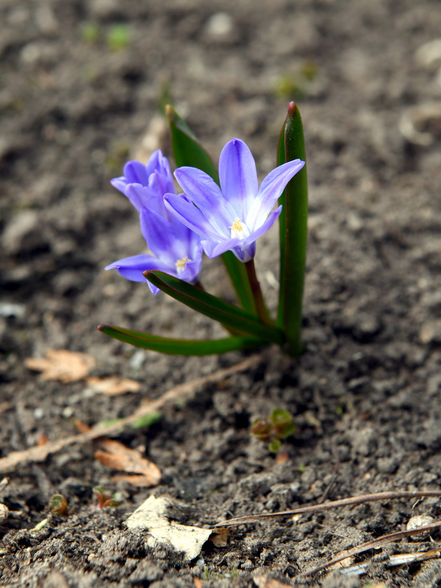 DSC_8228_новый размер