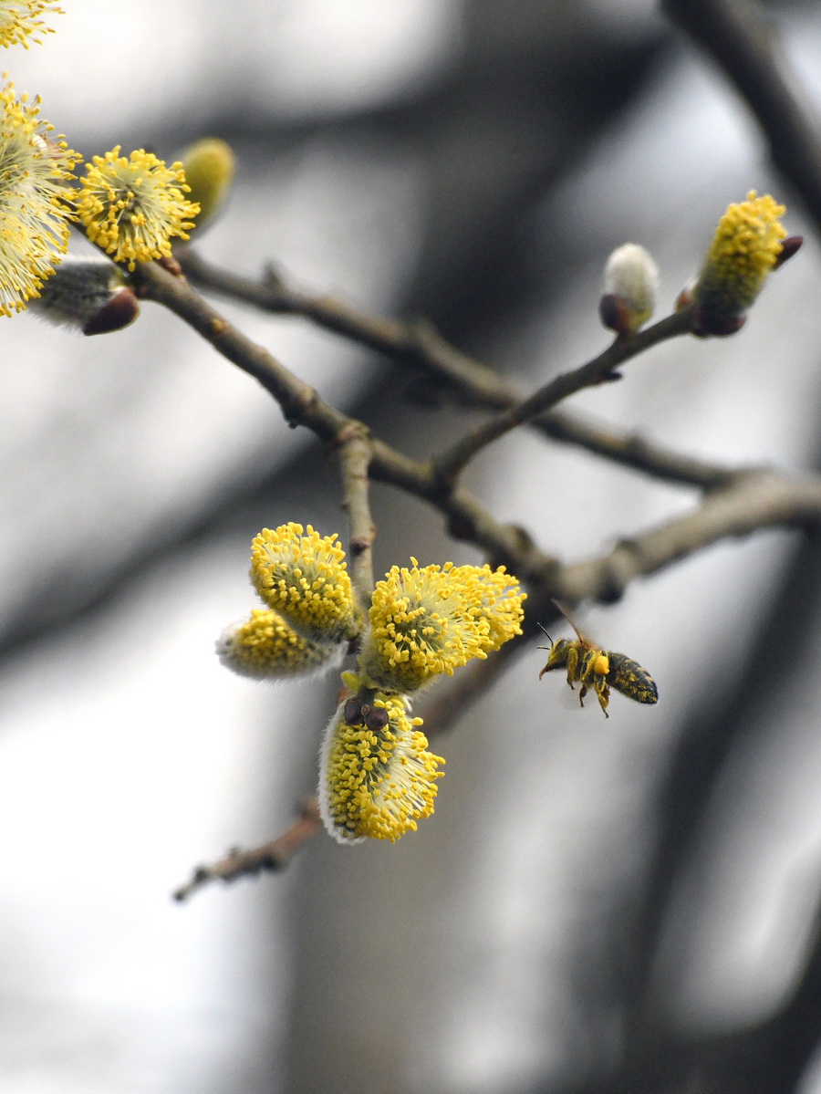 DSC_8373_новый размер