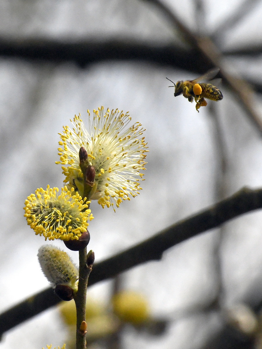 DSC_8438_новый размер