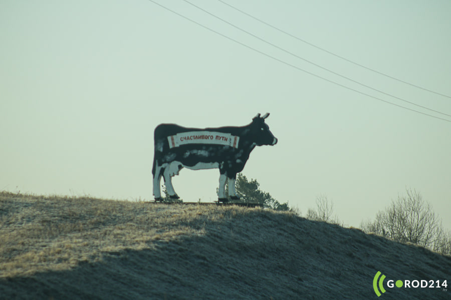 photo_2026-04-03_12-53-48